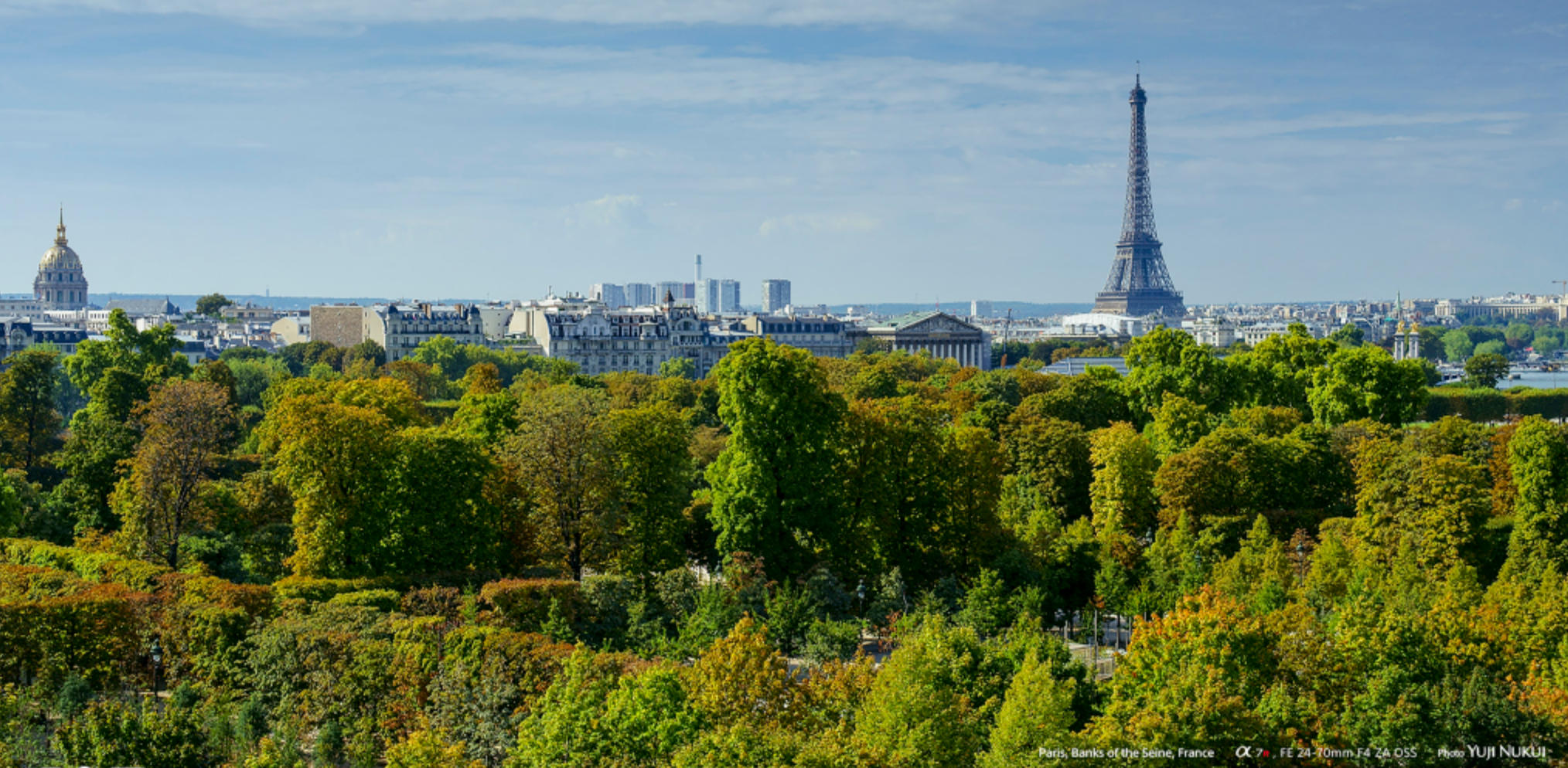 “冬温夏清”指代表是打一最佳精准哪个生肖是什么  猜解一最佳词语分析解释释义