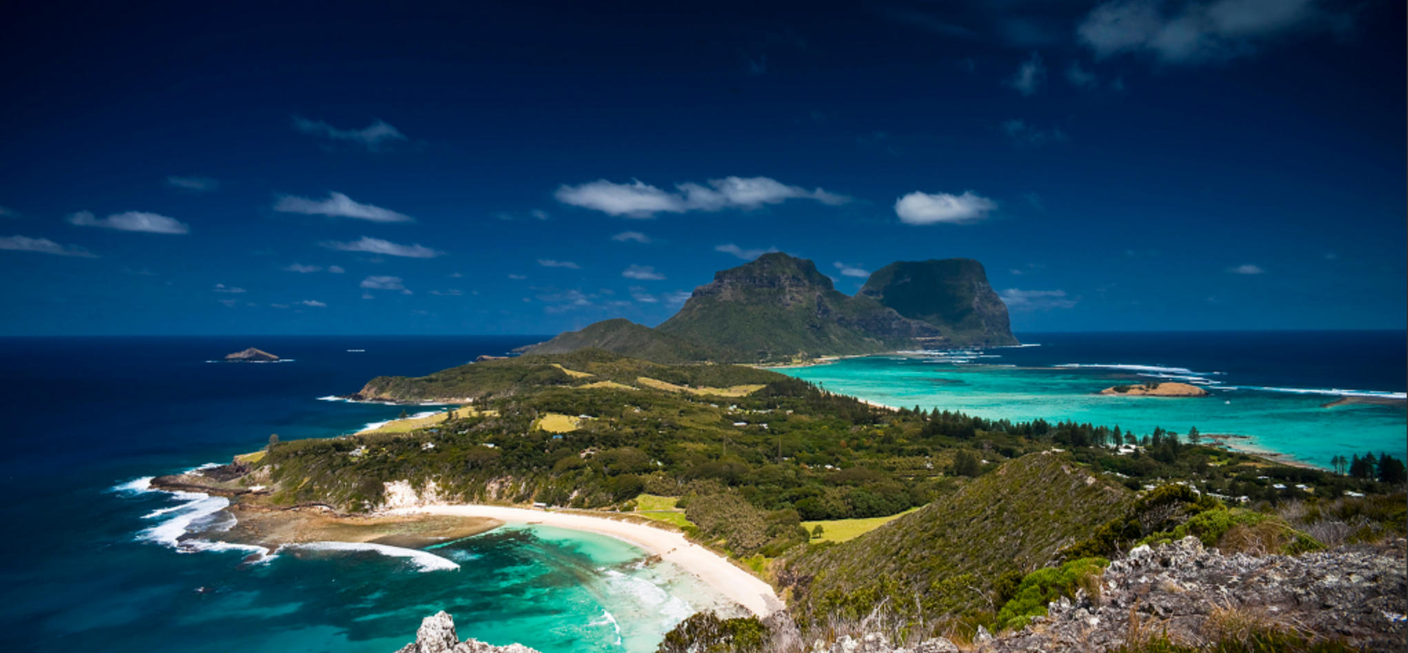 指画风雷开五溪打一生肖——最佳精准生肖数字动物词语解析释义