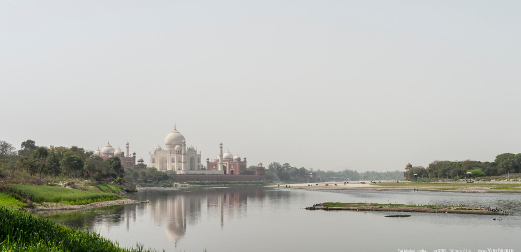 “玉砌雕阑”代表指打哪个是什么生肖  经典最佳词语解释