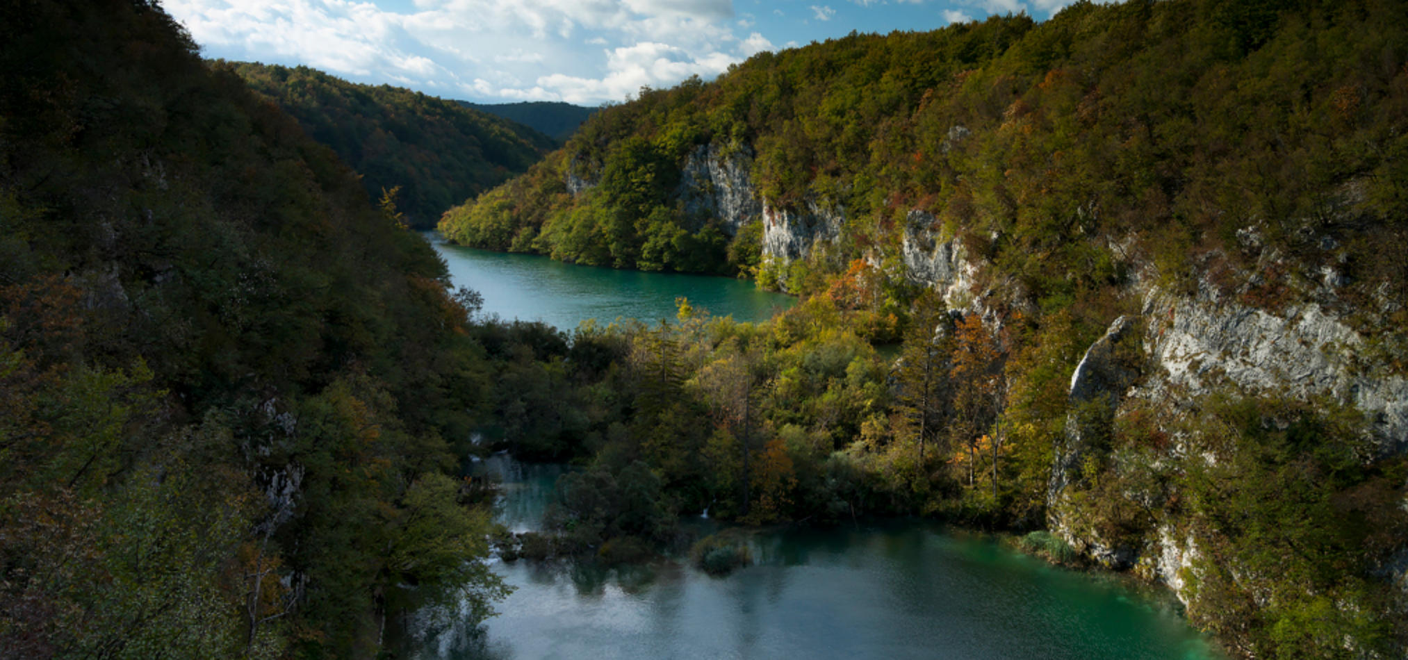 今期生肖三三开，四三连特为七开猜指解释代表一个准确生肖 最佳精选释义词语解释