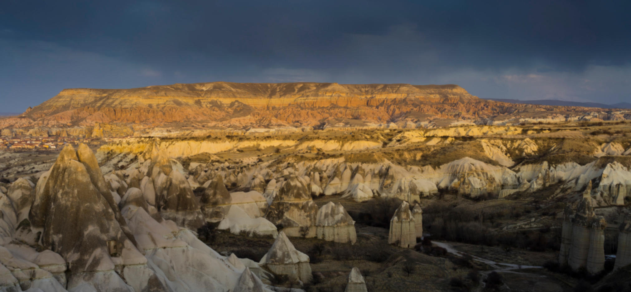 池里荷花一点红指什么生肖 普遍词语完美落实   精选释义落实解释
