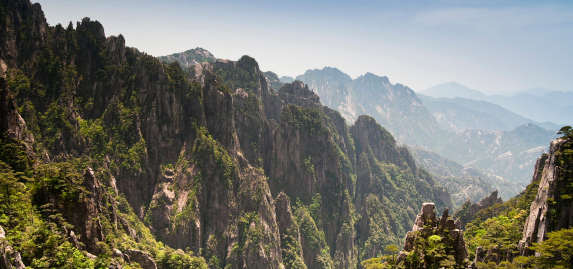 动如脱兔猜指是一个最佳准确生肖，精准释义成语解释释
