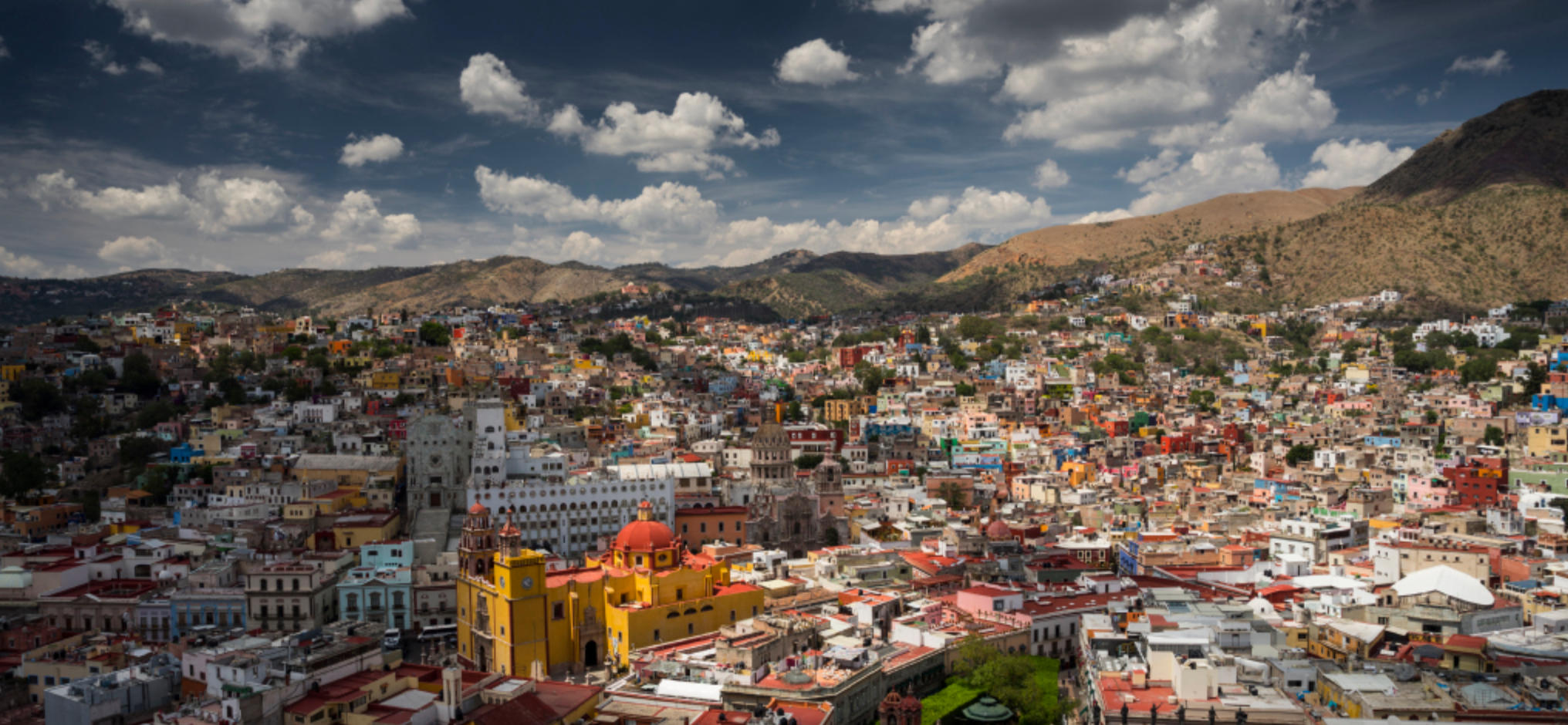 欲钱看到手的肥肉换骨头指一什么生肖  甄选释义解答落实