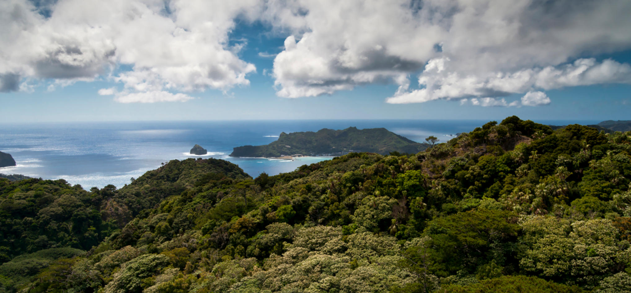 可见低洼四地区，飞雪花大如一手是指的哪个什么生肖，词语释义重点完整解析