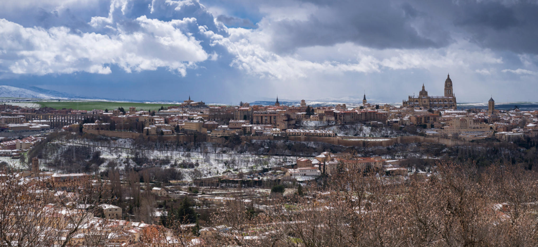 明珠弹雀指的是什么生肖，经典词语资询解释落实