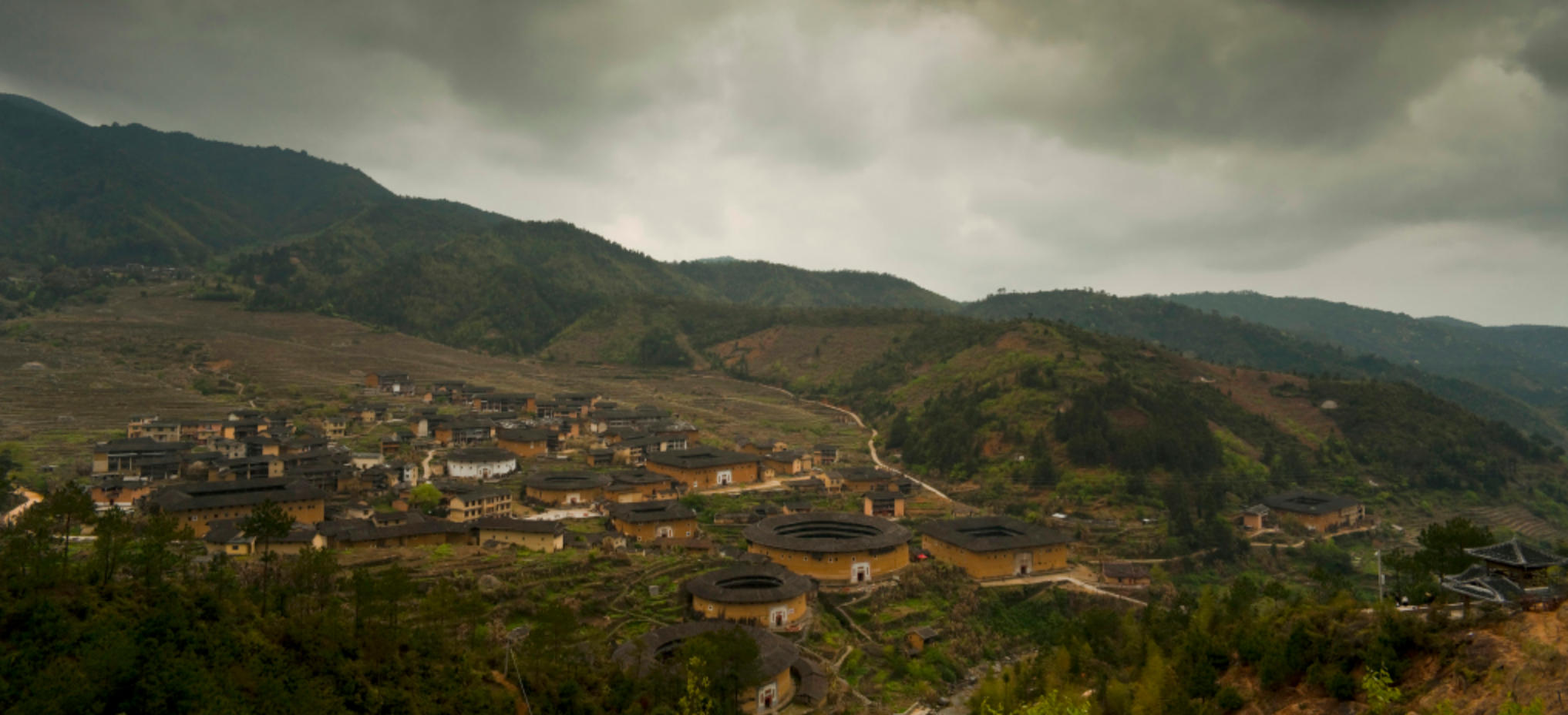 百折不回代表是什么生肖，深度解读成语落实