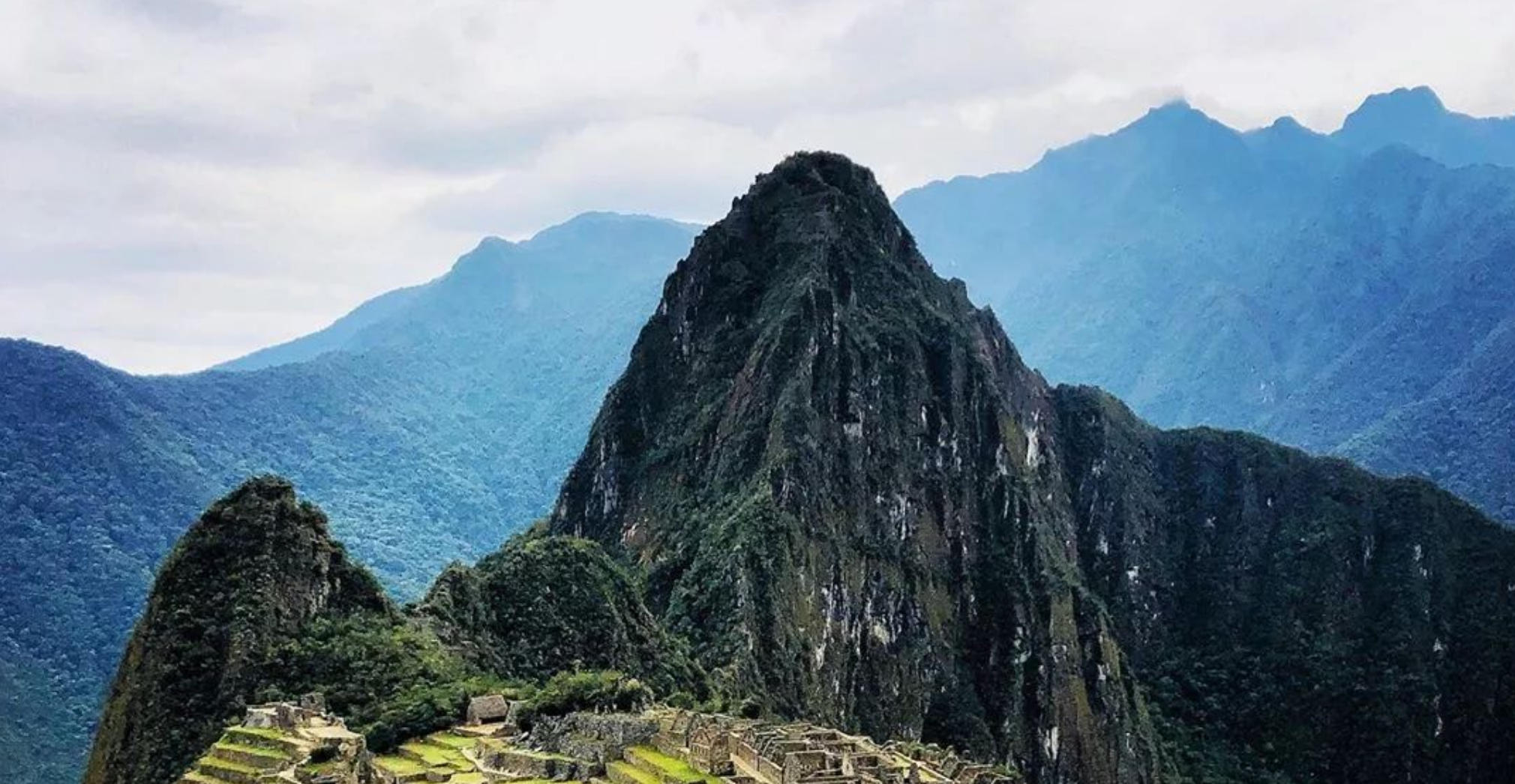 移花接木指的是什么生肖，释义最佳成语解释