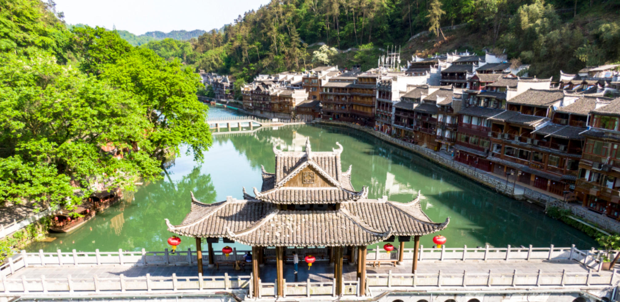 见弹求鸮指是什么生肖，深刻解读经典释义