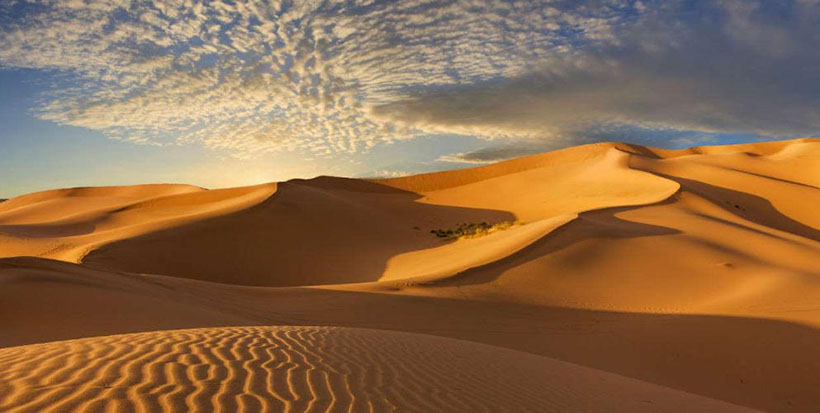 独家解义：“冰炭不投"是指打一正确准确什么生肖，“冰炭不投"是猜成语最佳释义解释