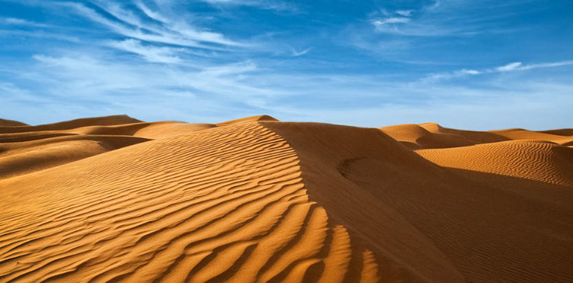 等，等猪直中。七猜指打一最佳准确生肖,代表是什么生肖 词语作答精选释义解释汇总