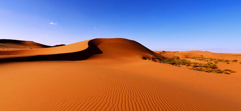 趁势落篷打一生肖指什么 最佳精准答案与专属词语释义解析