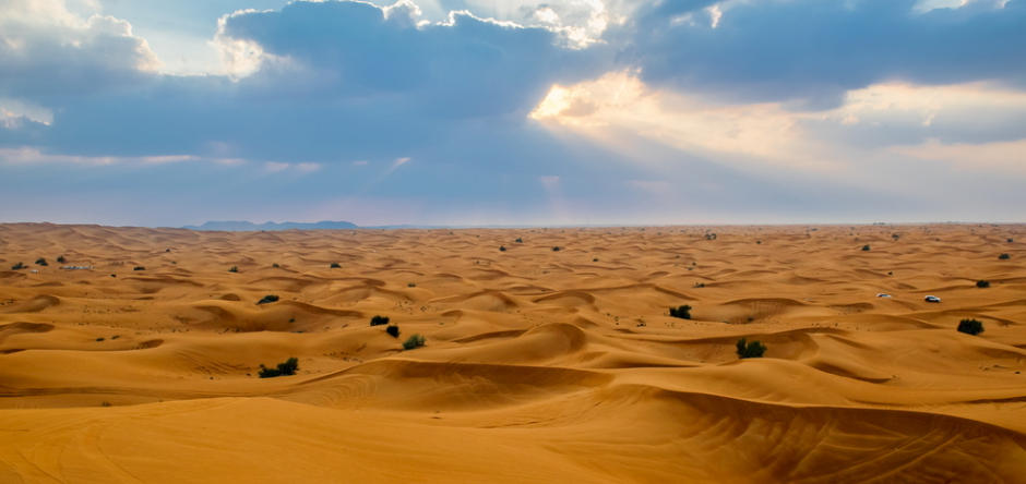 龙生龙子好兆头，一声怒吼气势雄指代表什么生肖 最佳谜底落实解释