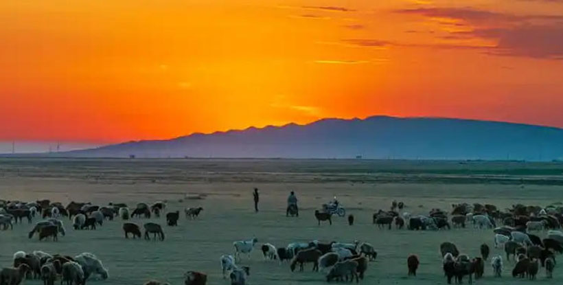 天，天上（人间）单冷出特（十二）到打一准确生肖，词语揭晓释义落实
