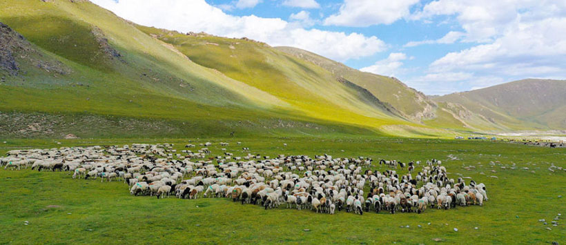 不通水火打猜一准确最佳生肖，词语作答精选释义解释汇总