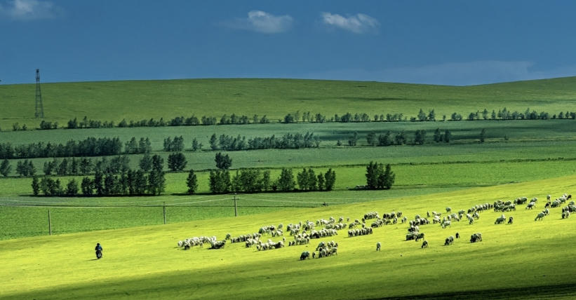 纸醉金迷猜打一最佳准确生肖,词语释义赏析与生肖运势甄选解析