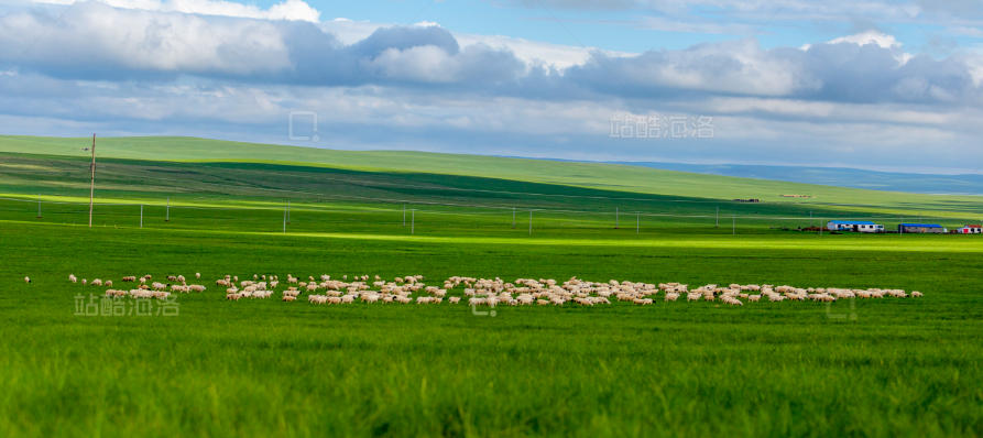 再三再四打一准确最佳生肖意指哪一个生肖,独家深入探究解释