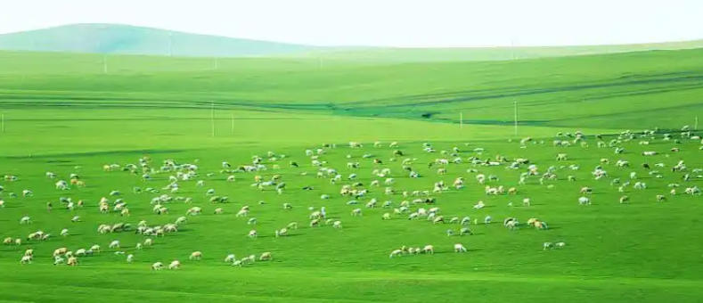 入主出奴猜一最佳准确生肖  精选词语释义 详细解释