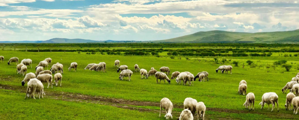 褒衣博带指代表指最佳准确生肖  经典释义词语解释