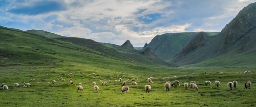 点滴归公成语解析解答  打一最佳生肖是什么生肖,精选解释落实