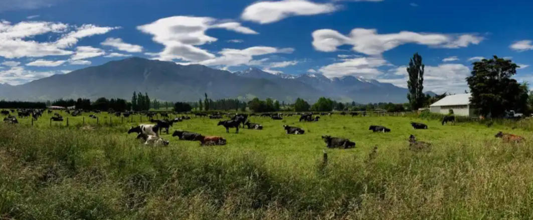 入主出奴猜打一最佳正确生肖词语解释释义落实