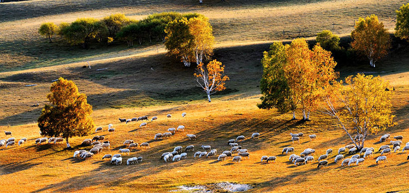伤春比似年时恶，参横月堕归时候指代表什么生肖，热门词语解释落实