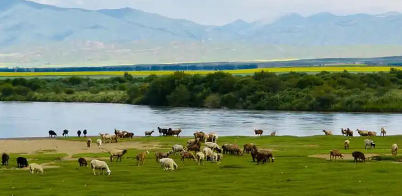 火土木号有特在，日行千里不辞苦。到头你也赞佩服，最后一期二出劲猜解一精准确最佳生肖,精选落实释义解析