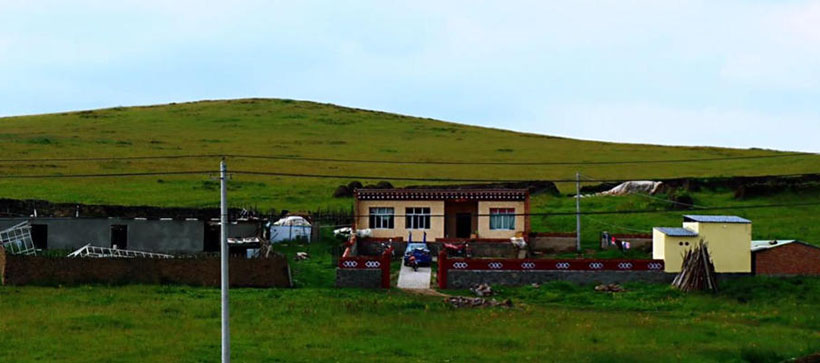 今期生肖在南方，特马尾睇三六八指什么生肖 完整词语释义赏析与生肖运势代表解析