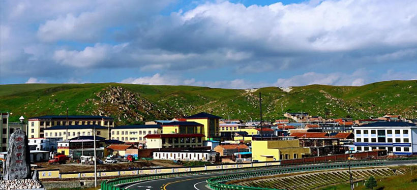 冷水烫猪、软红香土最佳准确生肖 独家释义经典全面解释